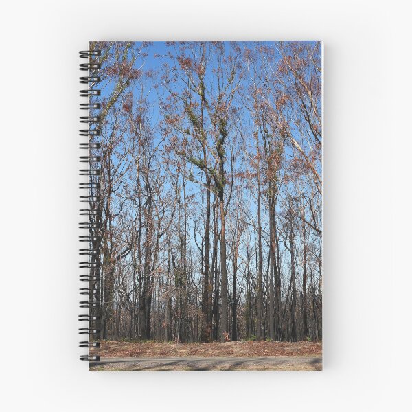 Item preview, post bushfire designed and sold by Leone Fabre.