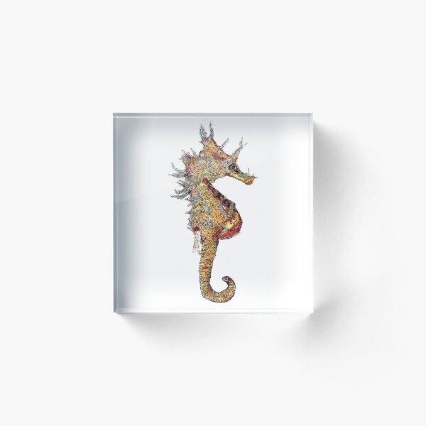 Di the Seahorse Acrylic Block