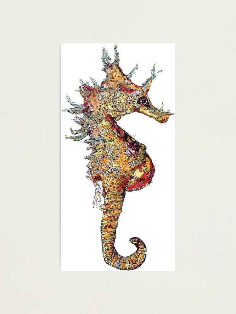 Alternate view of Di the Seahorse Photographic Print