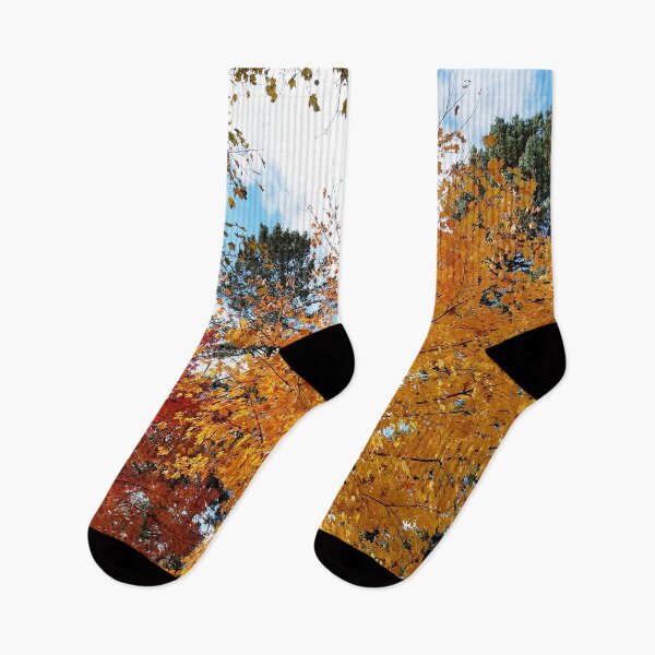 Item preview, Sugar Maples in all their glory designed and sold by rvjames.