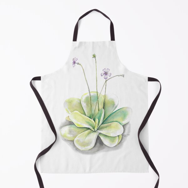 Item preview, Pinguicula Fly trap Carnivorous Plant Scientific illustration designed and sold by clorofila.