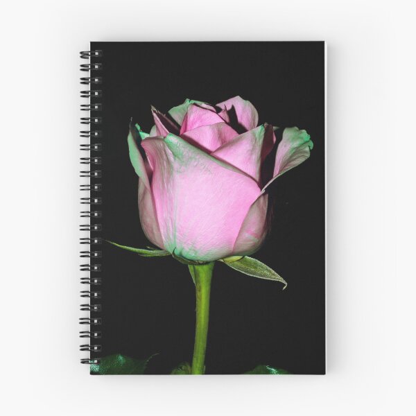 Item preview, Rose designed and sold by steffkilljoy.