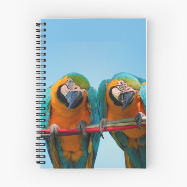 Item preview, Two nosy parrots are watching you designed and sold by urban-color.