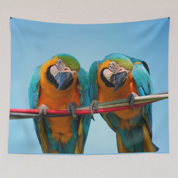 Item preview, Two nosy parrots are watching you designed and sold by urban-color.