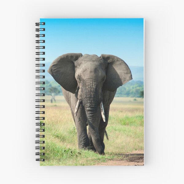 Item preview, Animales designed and sold by Mkviewpoint.