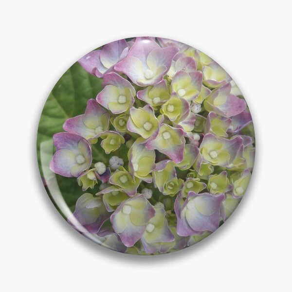 Item preview, Budding Blue Hydrangrea Plant designed and sold by Sinemathk.