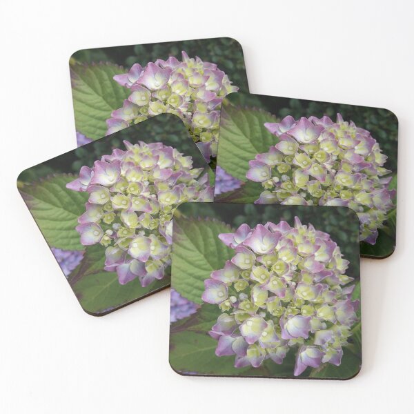 Item preview, Budding Blue Hydrangrea Plant designed and sold by Sinemathk.