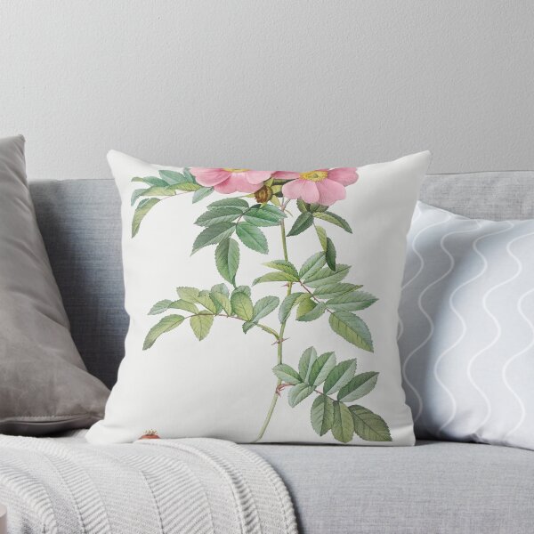 Item preview, Les Roses by Pierre-Joseph Redouté designed and sold by EsotericBotanic.