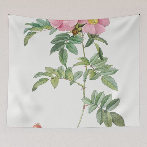 Item preview, Les Roses by Pierre-Joseph Redouté designed and sold by EsotericBotanic.