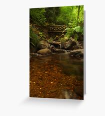 Forest river Greeting Card