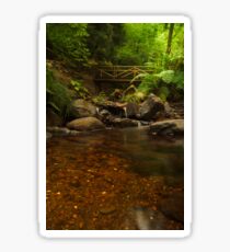 Forest river Sticker