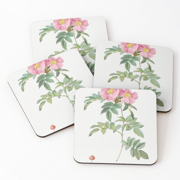 Item preview, Les Roses by Pierre-Joseph Redouté designed and sold by EsotericBotanic.