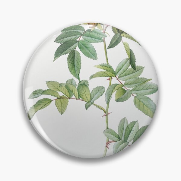 Item preview, Les Roses by Pierre-Joseph Redouté designed and sold by EsotericBotanic.