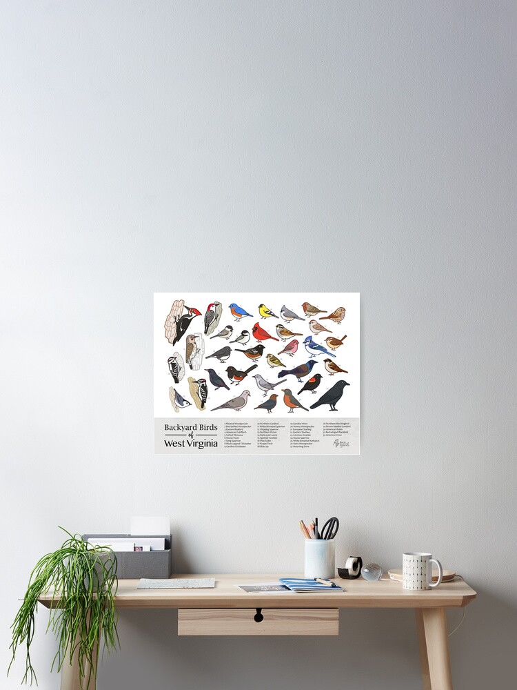 Thumbnail 2 of 3, Poster, West Virginia - Backyard Birds of West Virginia Field Guide Print - Bird Art Print - BirdsandFriends.co designed and sold by BirdsandFriends.