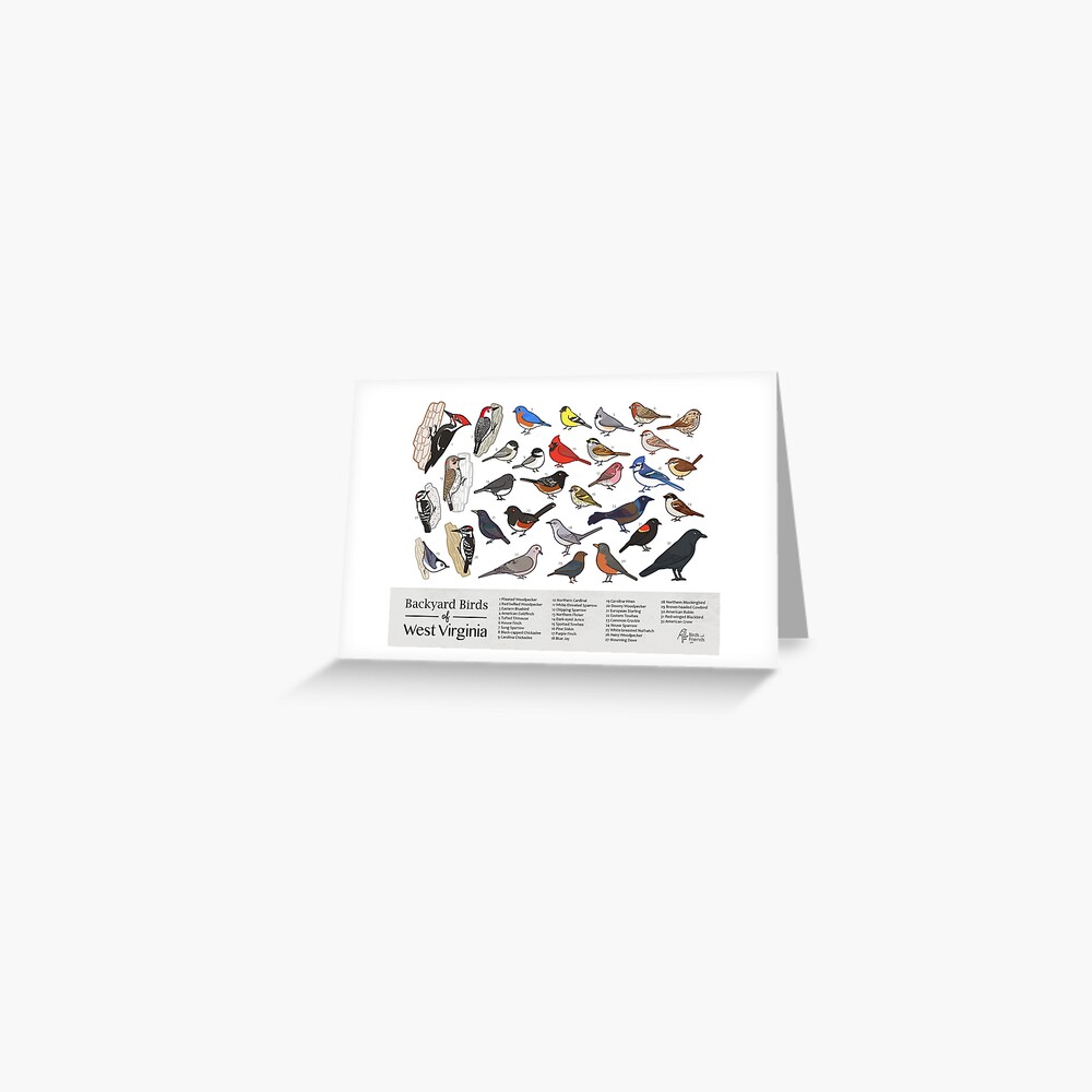 Item preview, Greeting Card designed and sold by BirdsandFriends.