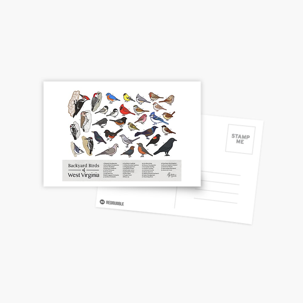 Item preview, Postcard designed and sold by BirdsandFriends.