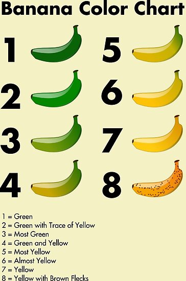 "Banana color chart" Posters by EnjoyRiot | Redbubble