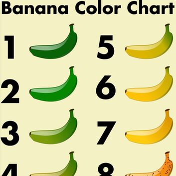 "Banana color chart" Canvas Prints by EnjoyRiot | Redbubble