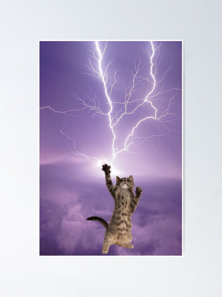 Funny Powerful Cat with Lightning and Thunder" Poster for Sale by  WildWoyages | Redbubble