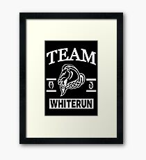 Team Whiterun Framed Print