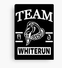 Team Whiterun Canvas Print