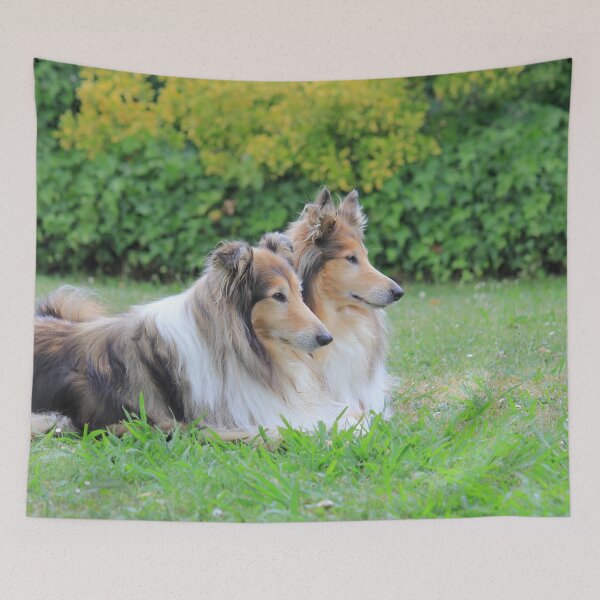 Item preview, Rough Collie Side by Side designed and sold by KarenWoodArt.