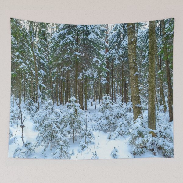 Item preview, Snowing covered spruce trees designed and sold by yarvin13.