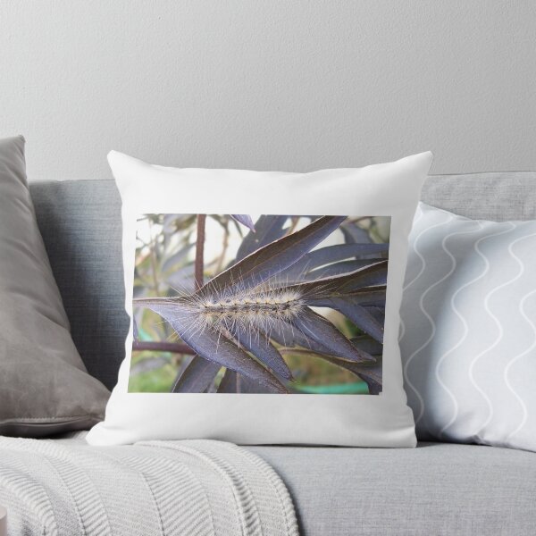 Item preview, Catepillar On Black Lace Leaf designed and sold by Martha Medford.