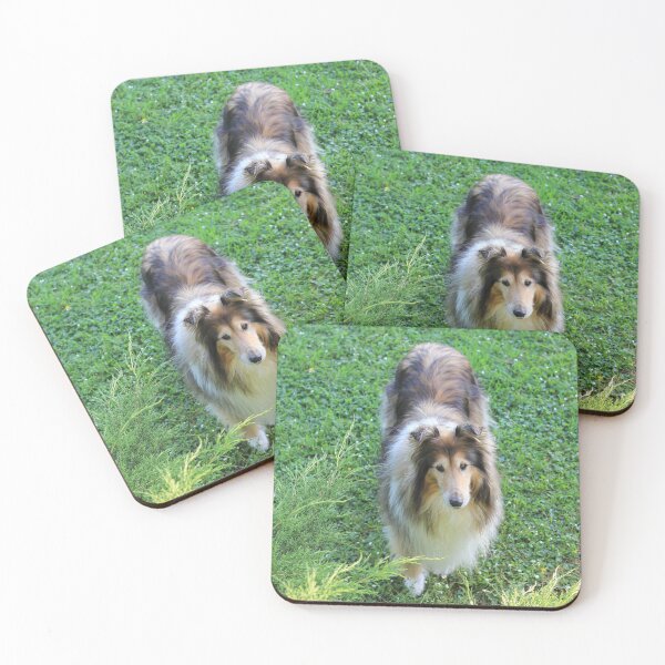 Item preview, Rough Collie From Above designed and sold by KarenWoodArt.