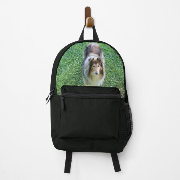 Item preview, Rough Collie From Above designed and sold by KarenWoodArt.