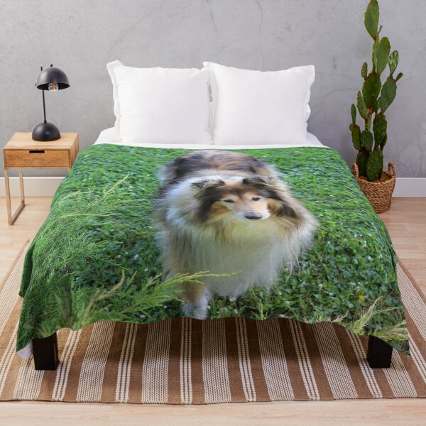 Item preview, Rough Collie From Above designed and sold by KarenWoodArt.