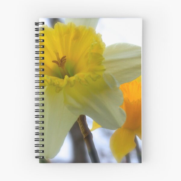Item preview, Under The Daffodils  designed and sold by NatureGreeting Cards ©ccwri.