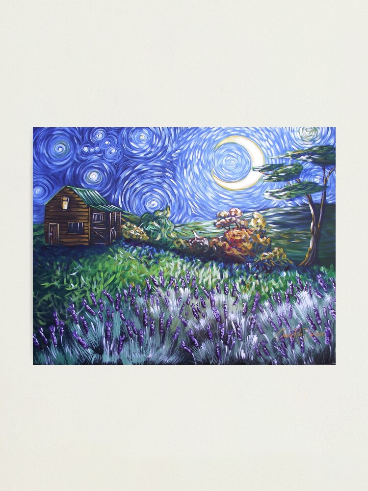 Alternate view of My Sanctuary (Orion in My Sky) Photographic Print