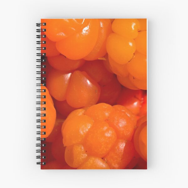 Item preview, Cloudberry healthy wild berry designed and sold by yarvin13.
