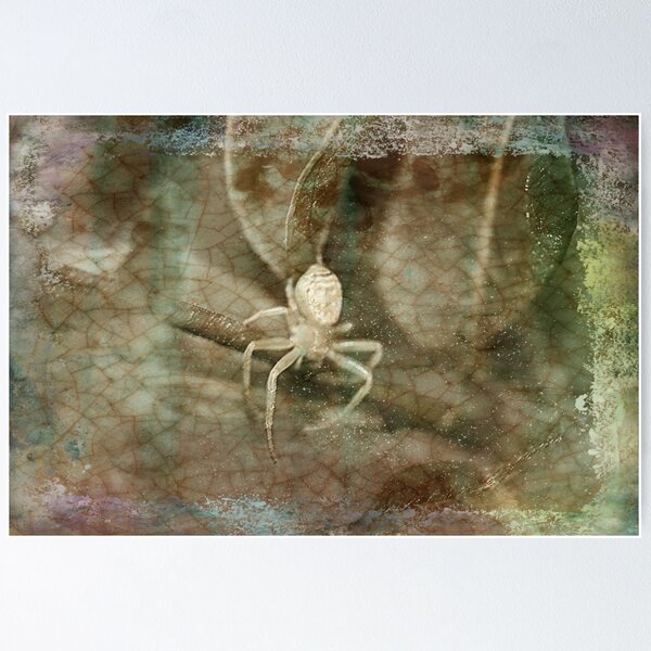 Item preview, spider 5 designed and sold by Nicole  Conrau.