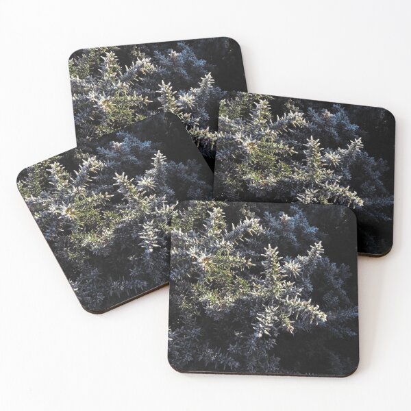 Item preview, Frosty Gorse Bush Spikes designed and sold by wiggyofipswich.