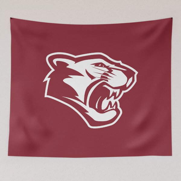 Item preview, Schreiner University designed and sold by yeseulahn6.