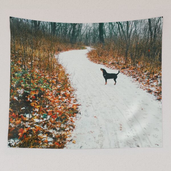 Item preview, Snowy way through a bright forest designed and sold by helenkaiy.