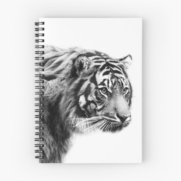 Aperçu de l'œuvre Black and White Tiger créée et vendue par PenguinPlot.