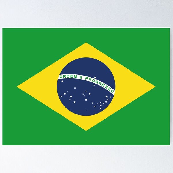 Item preview, Icon representing Brazil flag. Ideal for catalogs of institutional materials and geography designed and sold by LucianoCosmo.