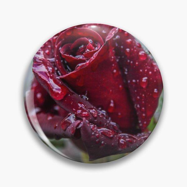 Item preview, Red rose after rain designed and sold by Chari-ot.
