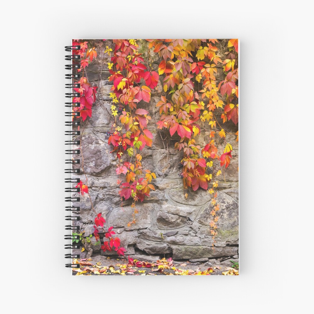 Item preview, Spiral Notebook designed and sold by mike-pellinni.