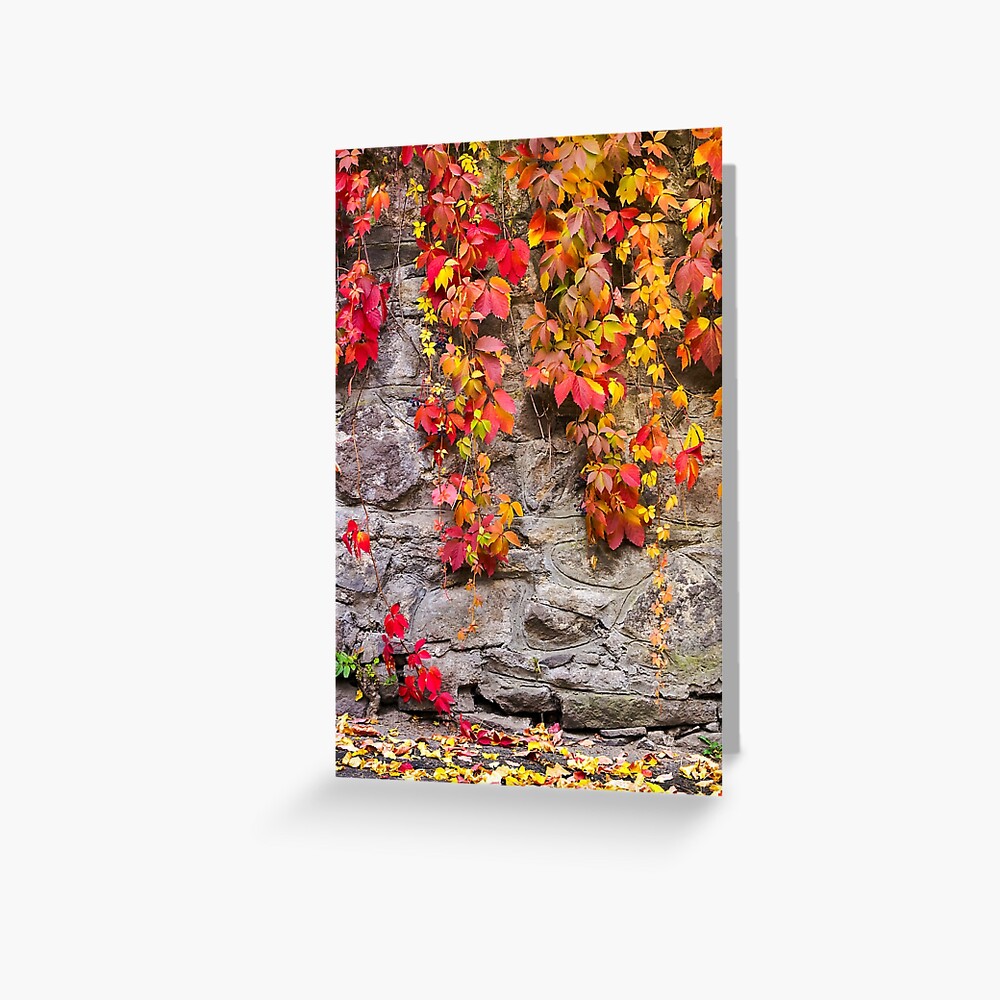 Item preview, Greeting Card designed and sold by mike-pellinni.