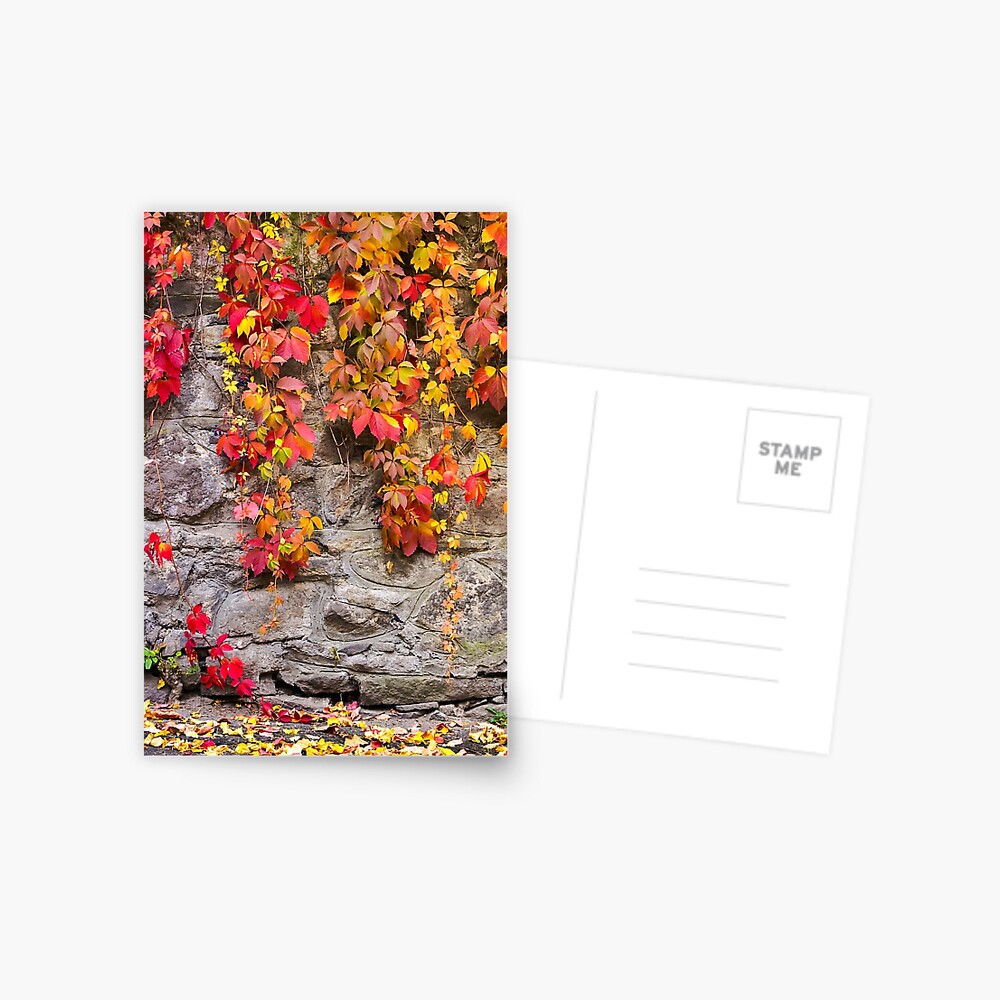 Item preview, Postcard designed and sold by mike-pellinni.