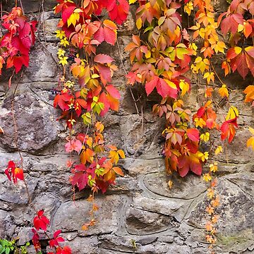 Artwork thumbnail, colorful ivy plant on stone wall by mike-pellinni