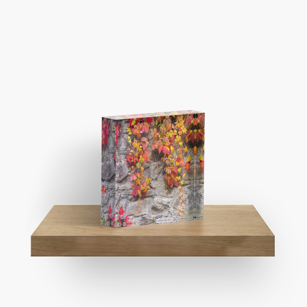 Item preview, Acrylic Block designed and sold by mike-pellinni.