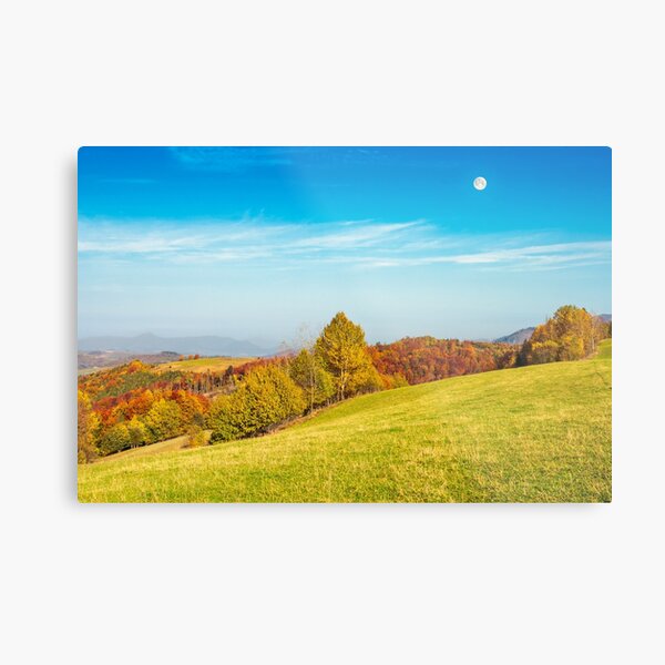moon above autumn landscape with grassy meadow Metal Print