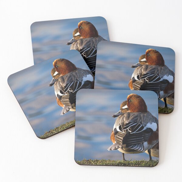 Item preview, Wigeon enjoying the sunshine designed and sold by Violaman.