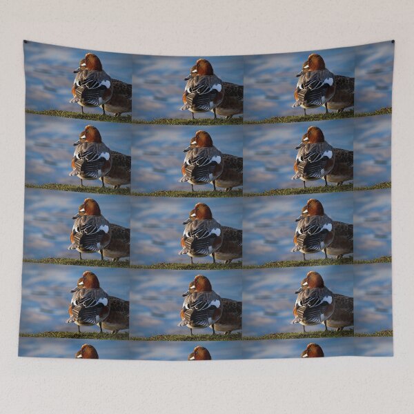 Item preview, Wigeon enjoying the sunshine designed and sold by Violaman.