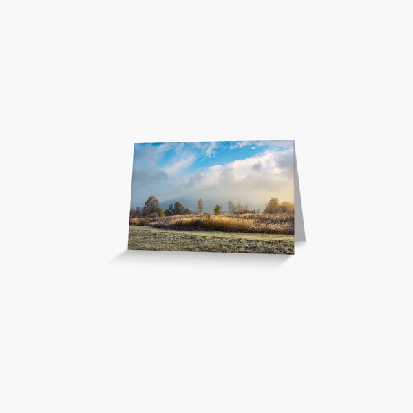trees on the field with tall dry grass Greeting Card